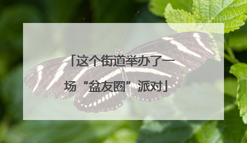这个街道举办了一场“盆友圈”派对