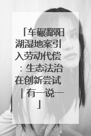 车碾鄱阳湖湿地案引入劳动代偿：生态法治在创新尝试｜有一说一