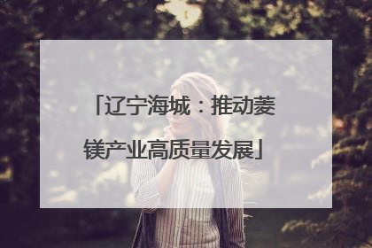 辽宁海城：推动菱镁产业高质量发展