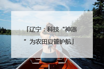 辽宁：科技“神器”为农田夏管护航