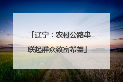 辽宁：农村公路串联起群众致富希望