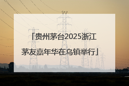 贵州茅台2025浙江茅友嘉年华在乌镇举行