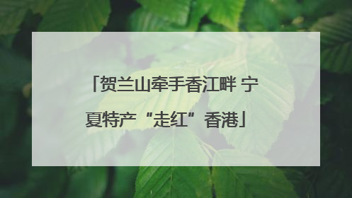贺兰山牵手香江畔 宁夏特产“走红”香港