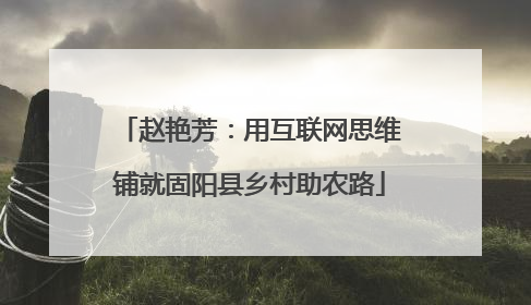 赵艳芳：用互联网思维铺就固阳县乡村助农路