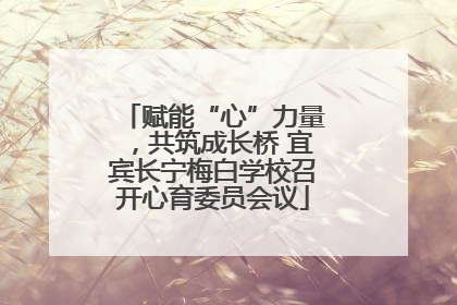 赋能“心”力量，共筑成长桥 宜宾长宁梅白学校召开心育委员会议