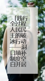 践行全过程人民民主的破冰行动——洞口填补制度空白开居民议事会先河侧记