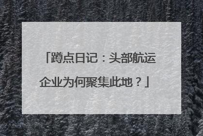 蹲点日记：头部航运企业为何聚集此地？