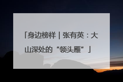身边榜样｜张有英：大山深处的“领头雁”