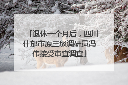 退休一个月后，四川什邡市原三级调研员冯伟接受审查调查