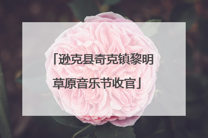 逊克县奇克镇黎明草原音乐节收官