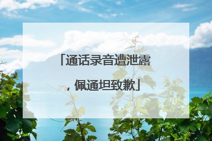 通话录音遭泄露，佩通坦致歉