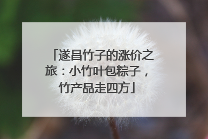 遂昌竹子的涨价之旅：小竹叶包粽子，竹产品走四方