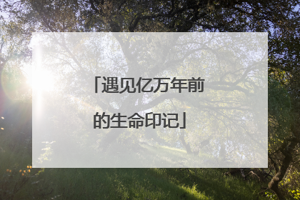 遇见亿万年前的生命印记
