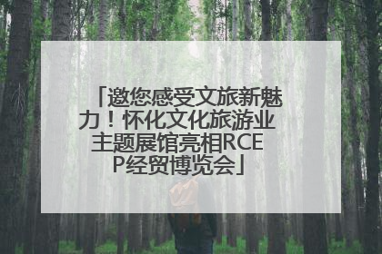 邀您感受文旅新魅力！怀化文化旅游业主题展馆亮相RCEP经贸博览会