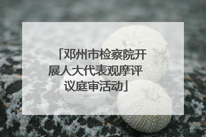 邓州市检察院开展人大代表观摩评议庭审活动