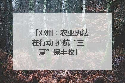 邓州：农业执法在行动 护航“三夏”保丰收