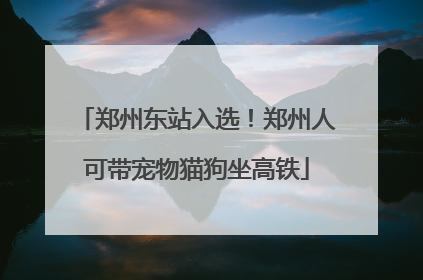郑州东站入选！郑州人可带宠物猫狗坐高铁
