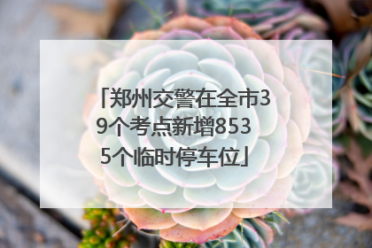 郑州交警在全市39个考点新增8535个临时停车位