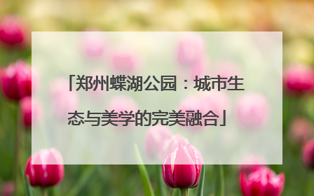 郑州蝶湖公园：城市生态与美学的完美融合
