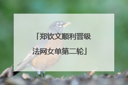 郑钦文顺利晋级法网女单第二轮