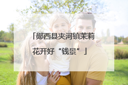 郧西县夹河镇茉莉花开好“钱景”