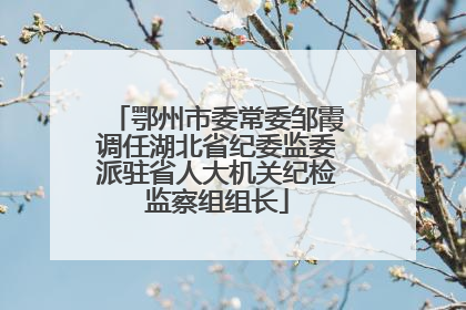 鄂州市委常委邹霞调任湖北省纪委监委派驻省人大机关纪检监察组组长