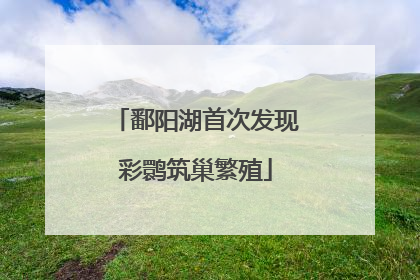 鄱阳湖首次发现彩鹮筑巢繁殖