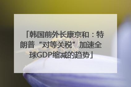 韩国前外长康京和：特朗普“对等关税”加速全球GDP缩减的趋势