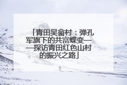 青田吴畲村：弹孔军旗下的共富蝶变——探访青田红色山村的振兴之路