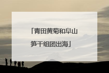 青田黄菊和阜山笋干组团出海