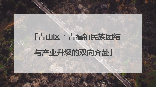 青山区：青福镇民族团结与产业升级的双向奔赴
