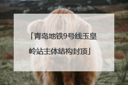 青岛地铁9号线玉皇岭站主体结构封顶