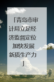 青岛市审计局立足经济监督定位 加快发展新质生产力