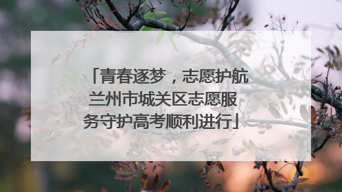 青春逐梦，志愿护航 兰州市城关区志愿服务守护高考顺利进行