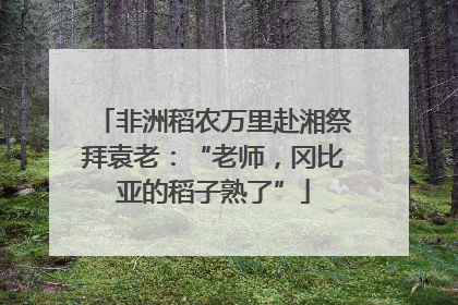 非洲稻农万里赴湘祭拜袁老：“老师，冈比亚的稻子熟了”