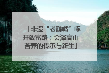 非遗“老鹳嘴”啄开致富路：会泽高山苦荞的传承与新生