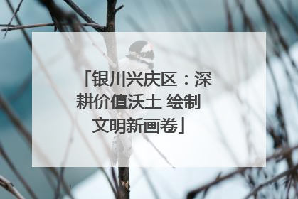 银川兴庆区：深耕价值沃土 绘制文明新画卷