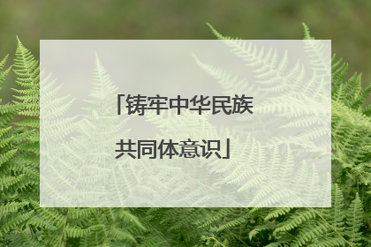 铸牢中华民族共同体意识