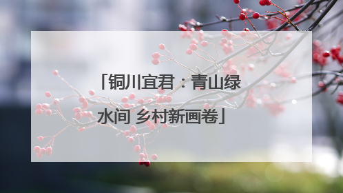 铜川宜君：青山绿水间 乡村新画卷