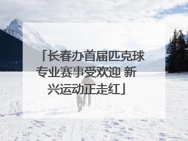 长春办首届匹克球专业赛事受欢迎 新兴运动正走红