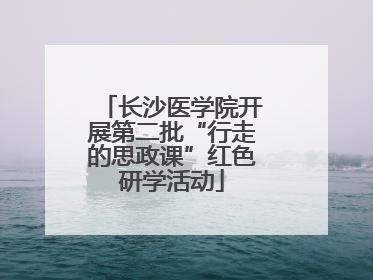 长沙医学院开展第二批“行走的思政课”红色研学活动