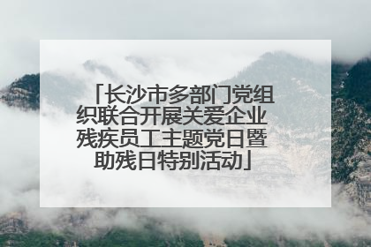 长沙市多部门党组织联合开展关爱企业残疾员工主题党日暨助残日特别活动