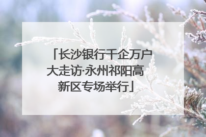 长沙银行千企万户大走访·永州祁阳高新区专场举行