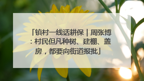 镇村一线话耕保｜周张博：村民但凡种树、建棚、盖房，都要向街道报批