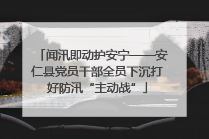 闻汛即动护安宁——安仁县党员干部全员下沉打好防汛“主动战”