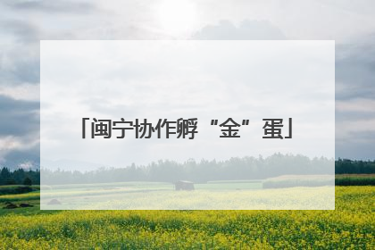 闽宁协作孵“金”蛋