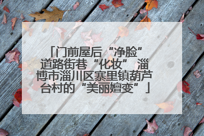 门前屋后“净脸” 道路街巷“化妆” 淄博市淄川区寨里镇葫芦台村的“美丽嬗变”