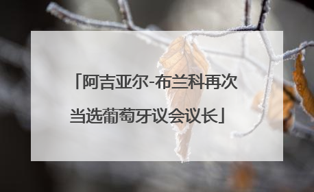 阿吉亚尔-布兰科再次当选葡萄牙议会议长