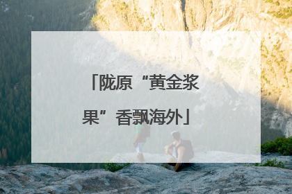 陇原“黄金浆果”香飘海外