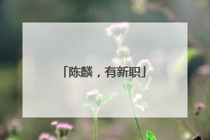 陈麟，有新职
